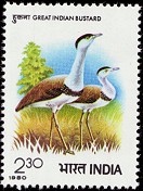 Great Indian bustard postage stamp